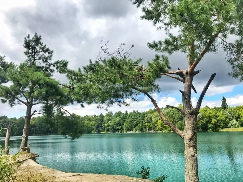 Грицівський кар’єр – історія, природа та сучасне значення грицівський кар'єр